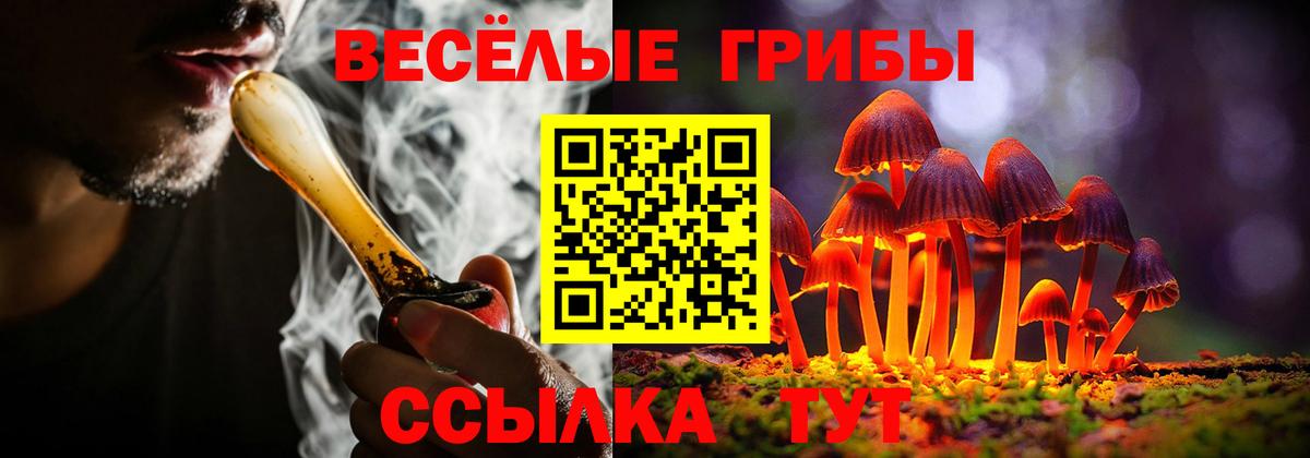 купить наркоту  Псилоцибиновые грибы мухоморы  Вход с VPN  Гурьевск 